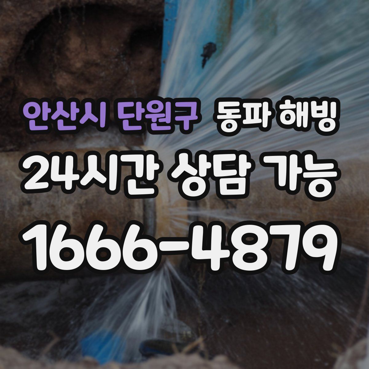 안산시 단원구 해빙