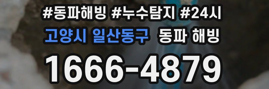 고양시 일산동구 동파