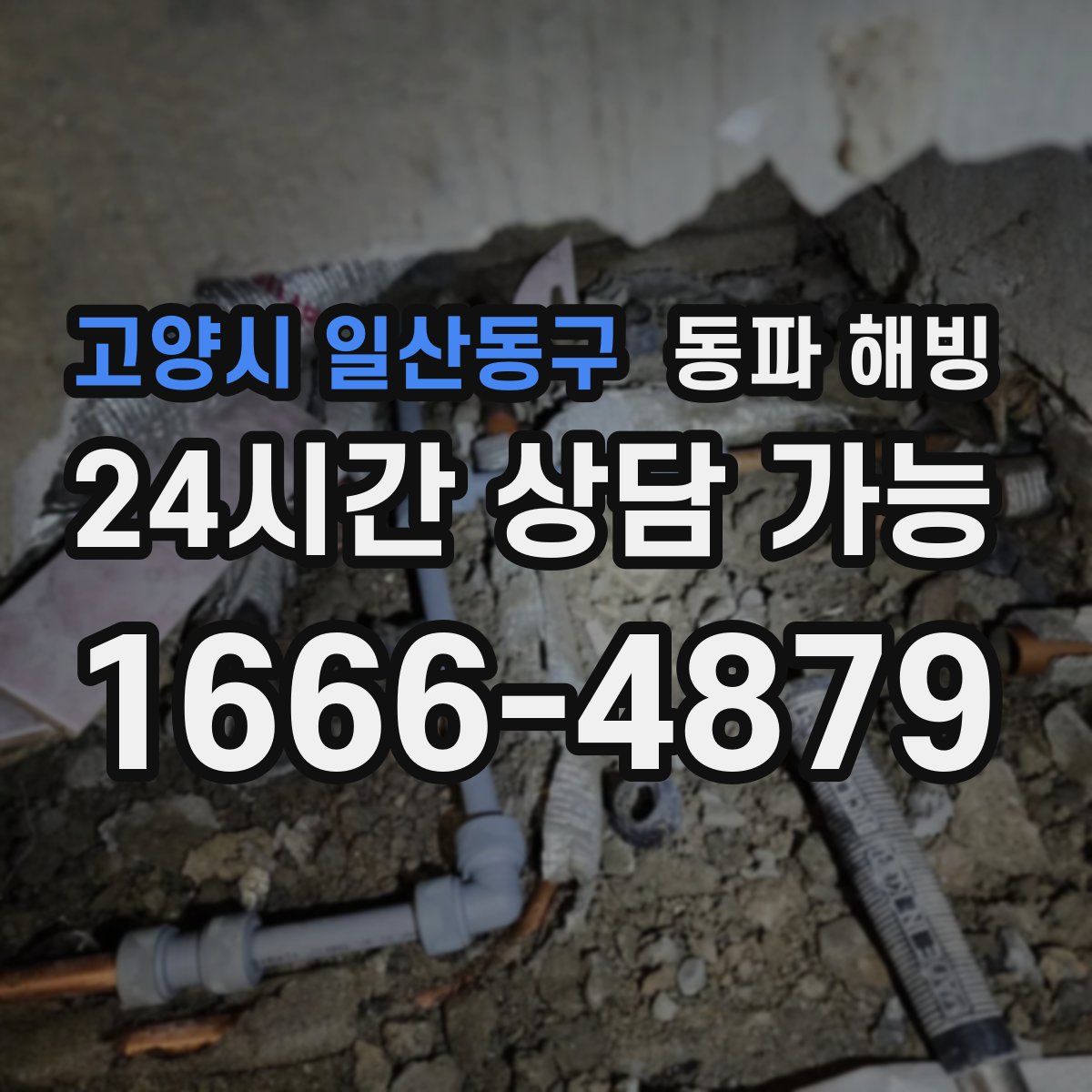 고양시 일산동구 해빙