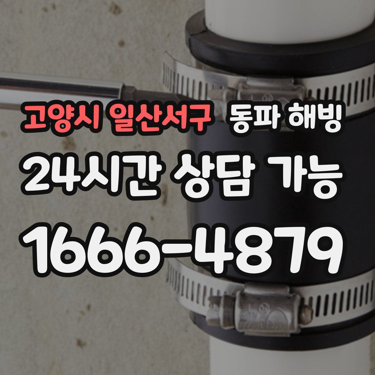 고양시 일산서구 해빙