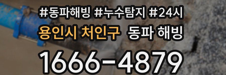 용인시 처인구 동파