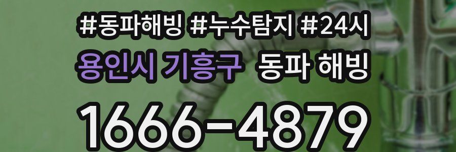 용인시 기흥구 동파