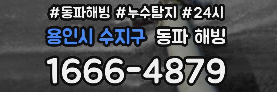 용인시 수지구 동파