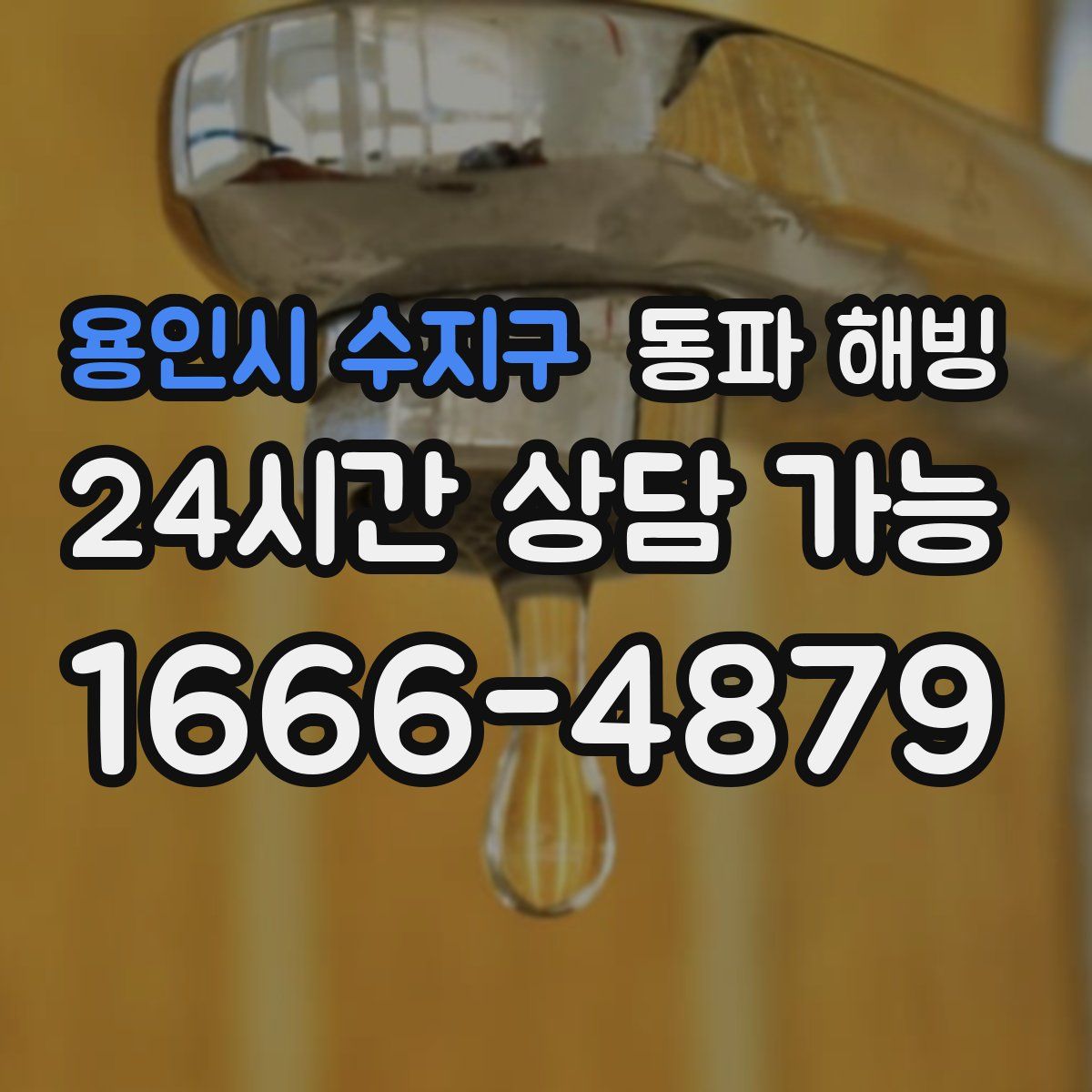 용인시 수지구 해빙