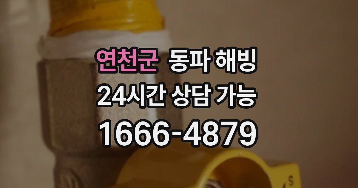 연천군 동파 해빙