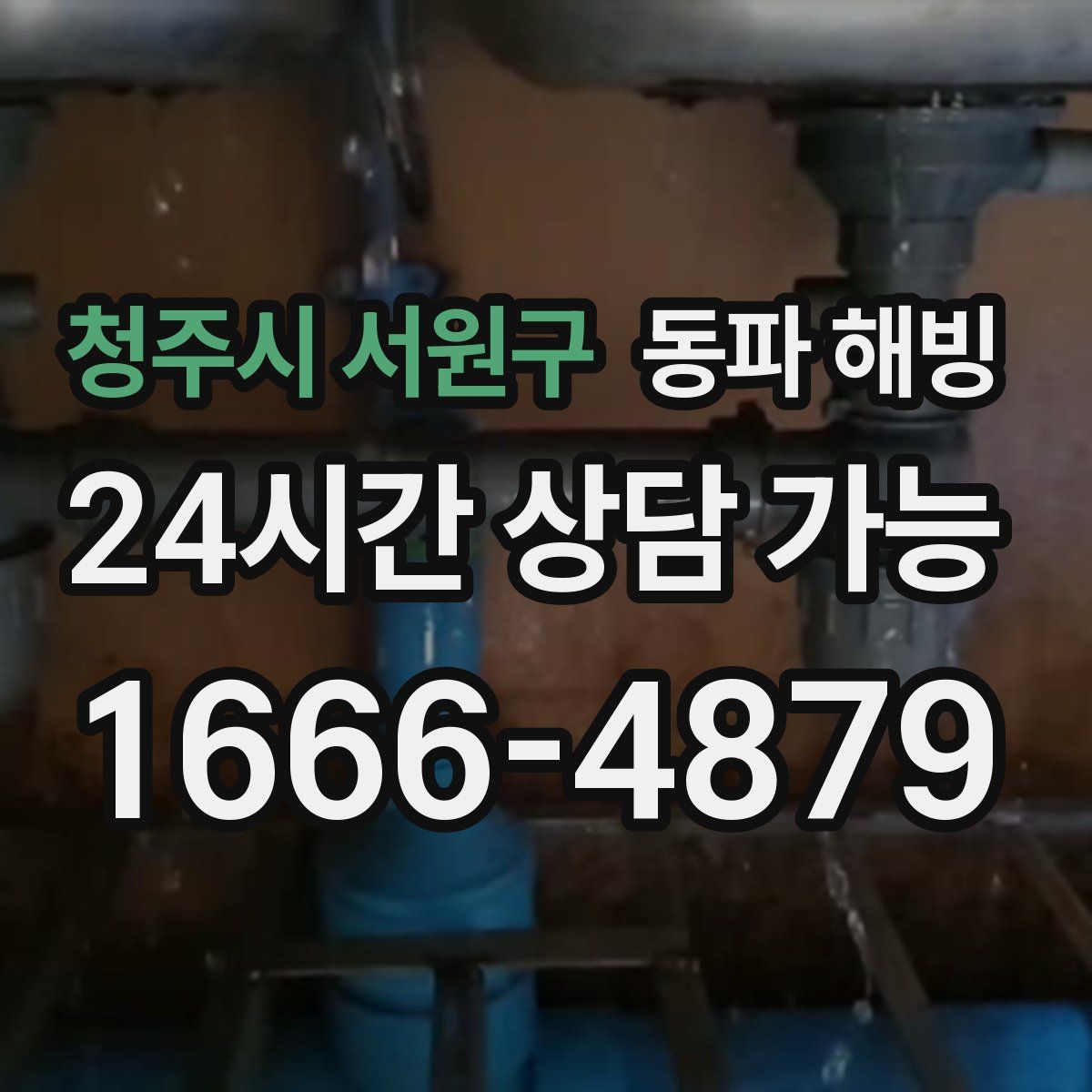 청주시 서원구 해빙