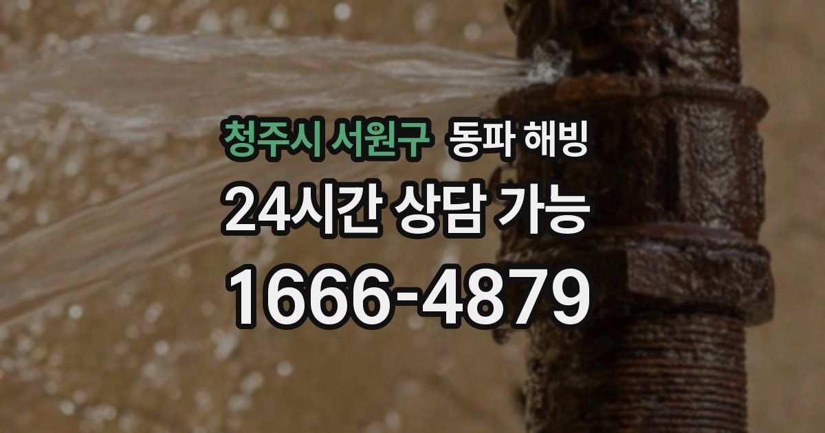 청주시 서원구 동파 해빙