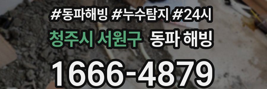 청주시 서원구 동파