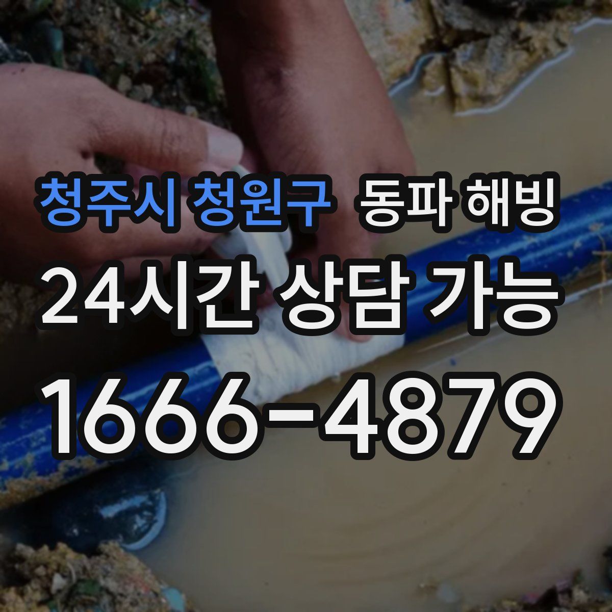 청주시 청원구 해빙