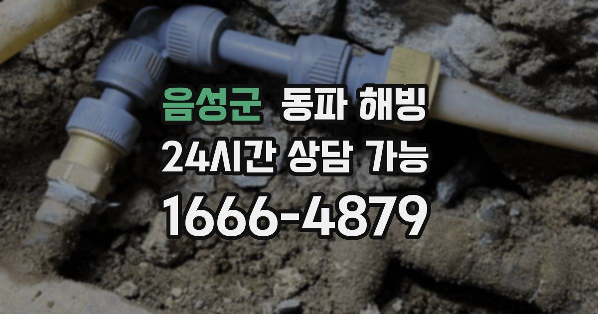 음성군 동파 해빙