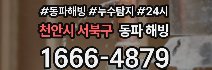 천안시 서북구 동파