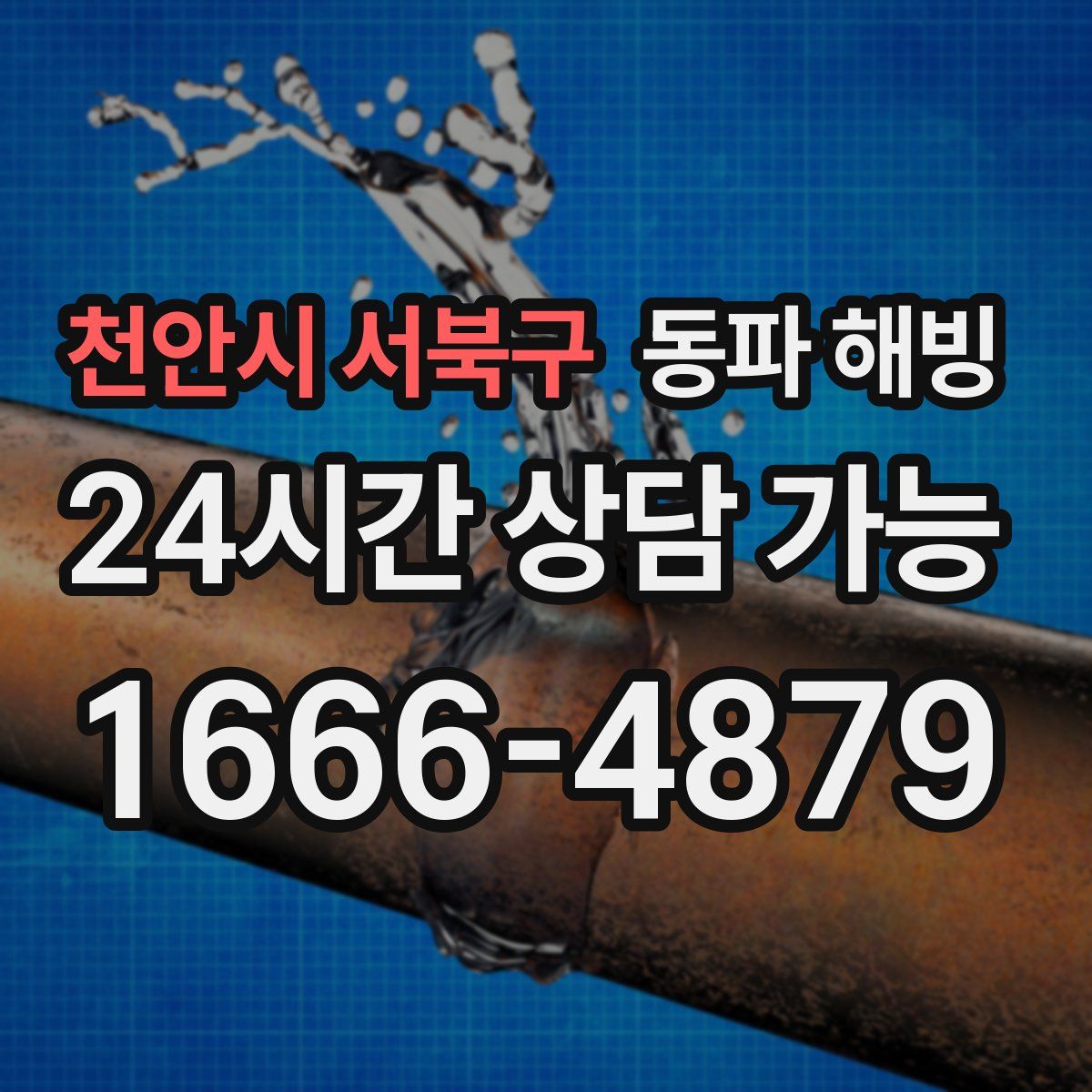 천안시 서북구 해빙