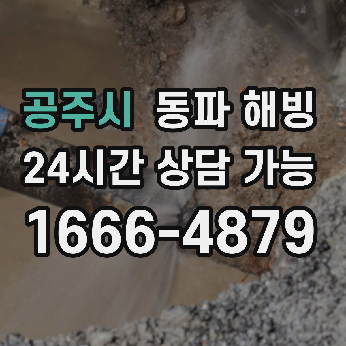 공주시 해빙