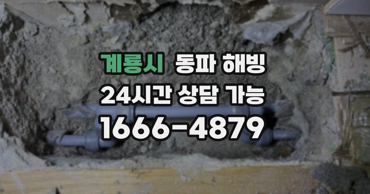 계룡시 동파 해빙