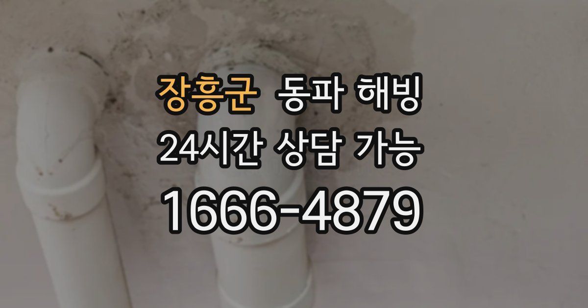 장흥군 동파 해빙