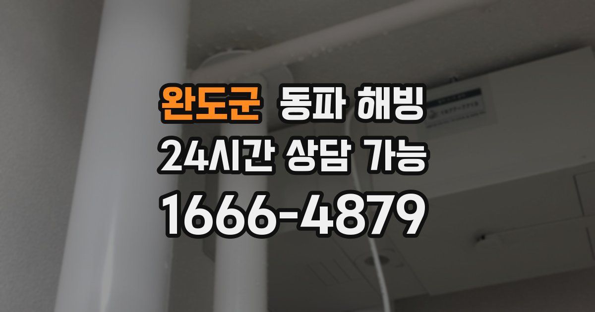 완도군 동파 해빙