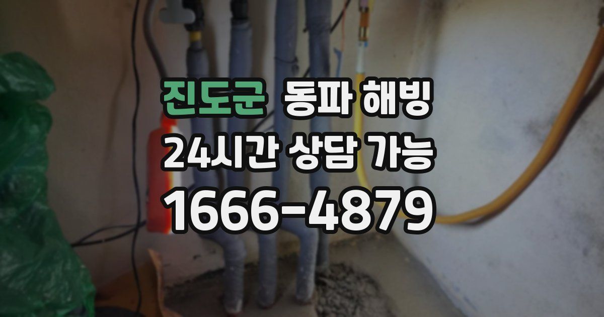 진도군 동파 해빙