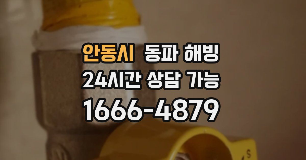 안동시 동파 해빙