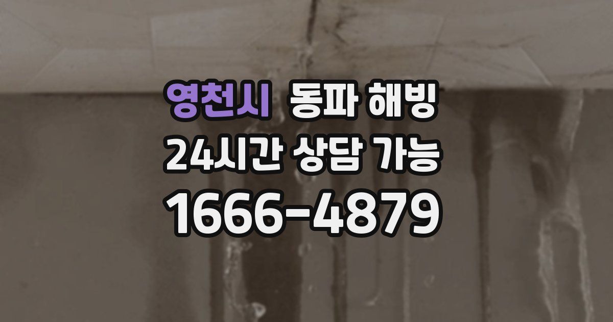 영천시 동파 해빙