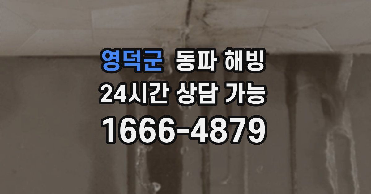 영덕군 동파 해빙