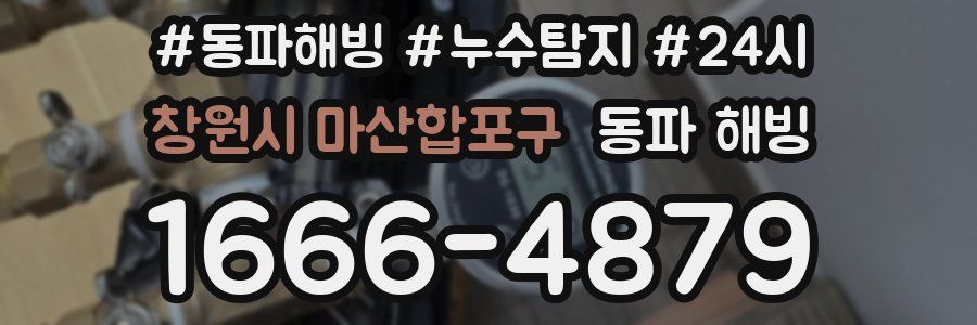 창원시 마산합포구 동파