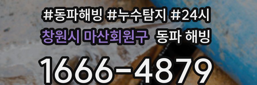 창원시 마산회원구 동파