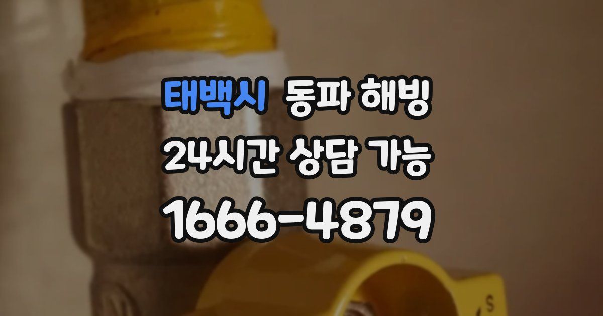 태백시 동파 해빙