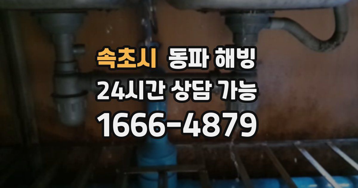 속초시 동파 해빙