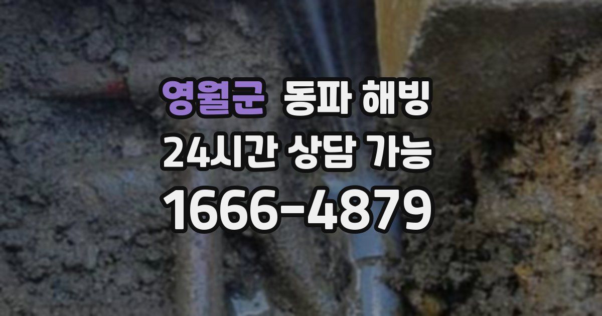 영월군 동파 해빙