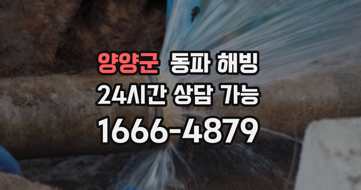 양양군 동파 해빙