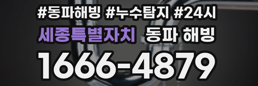 세종특별자치 동파