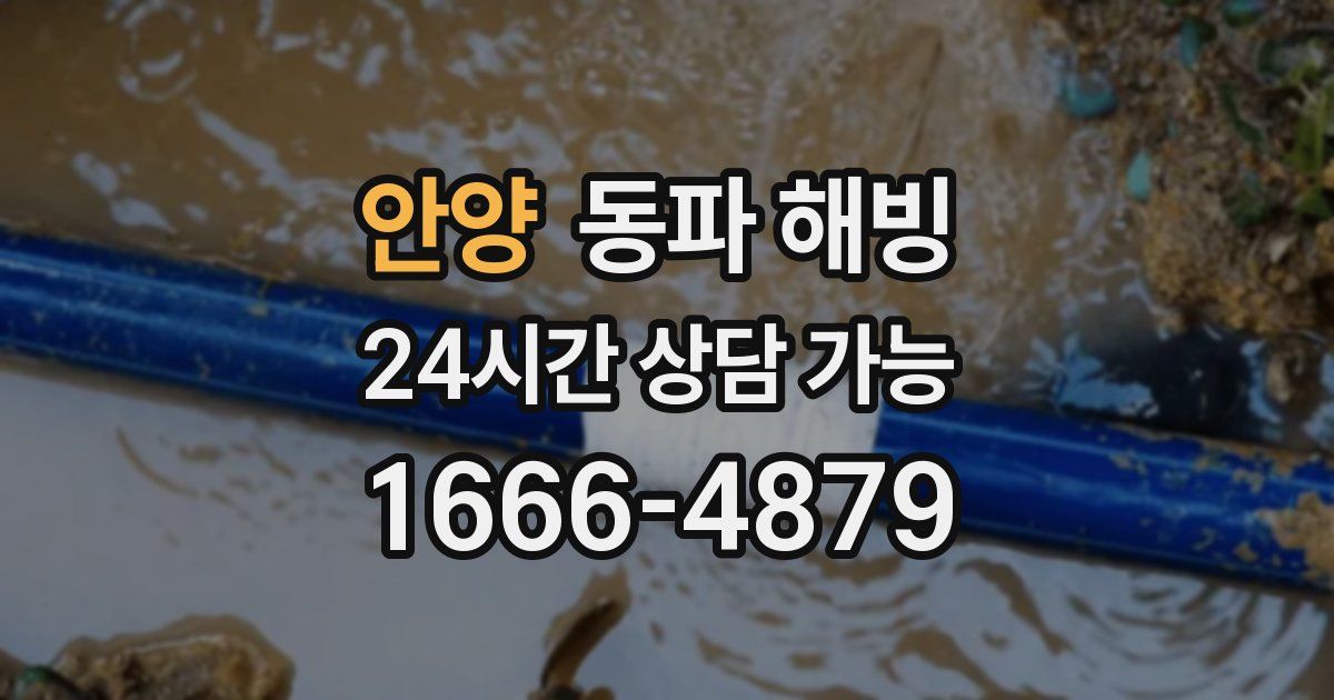 안양 동파 해빙