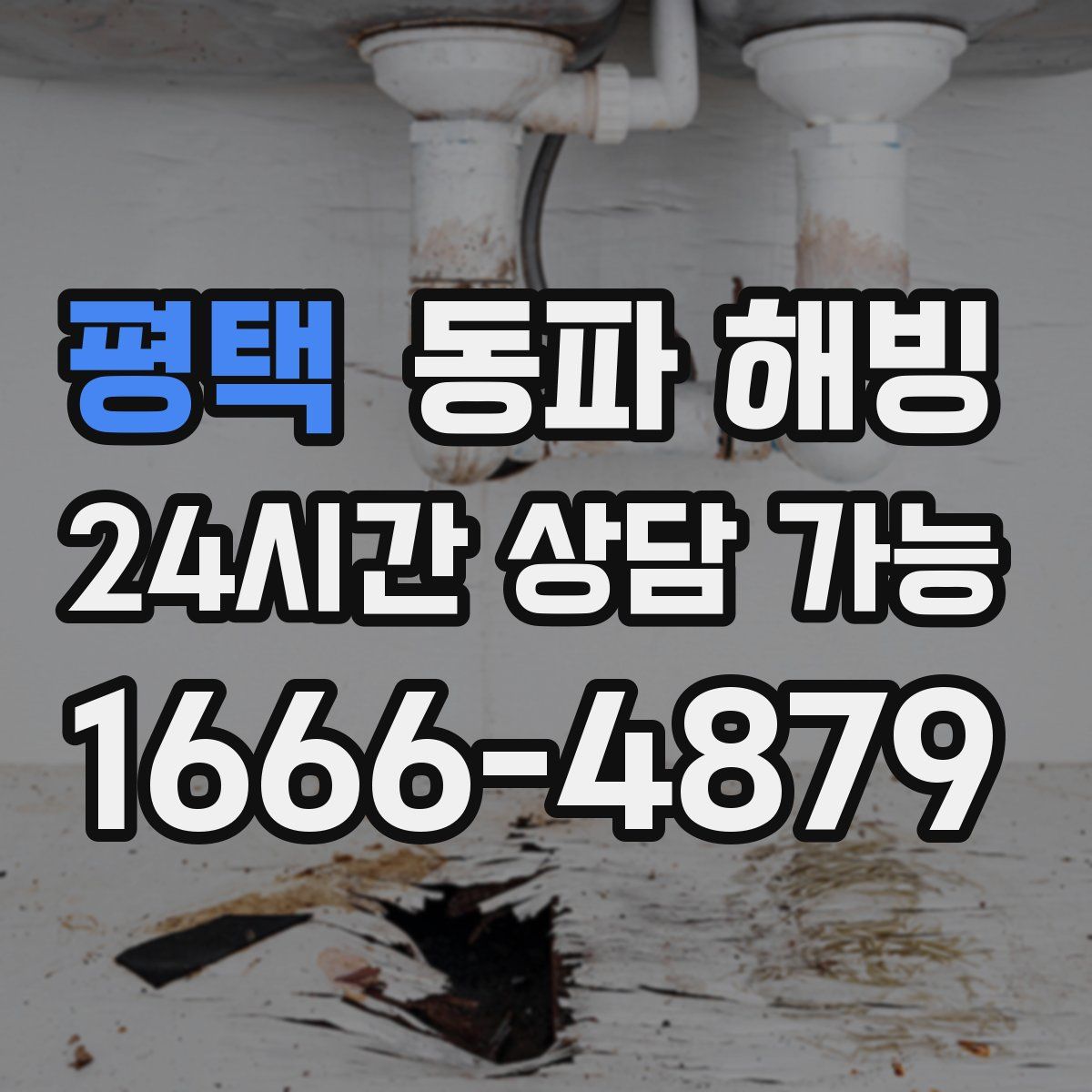 평택 해빙