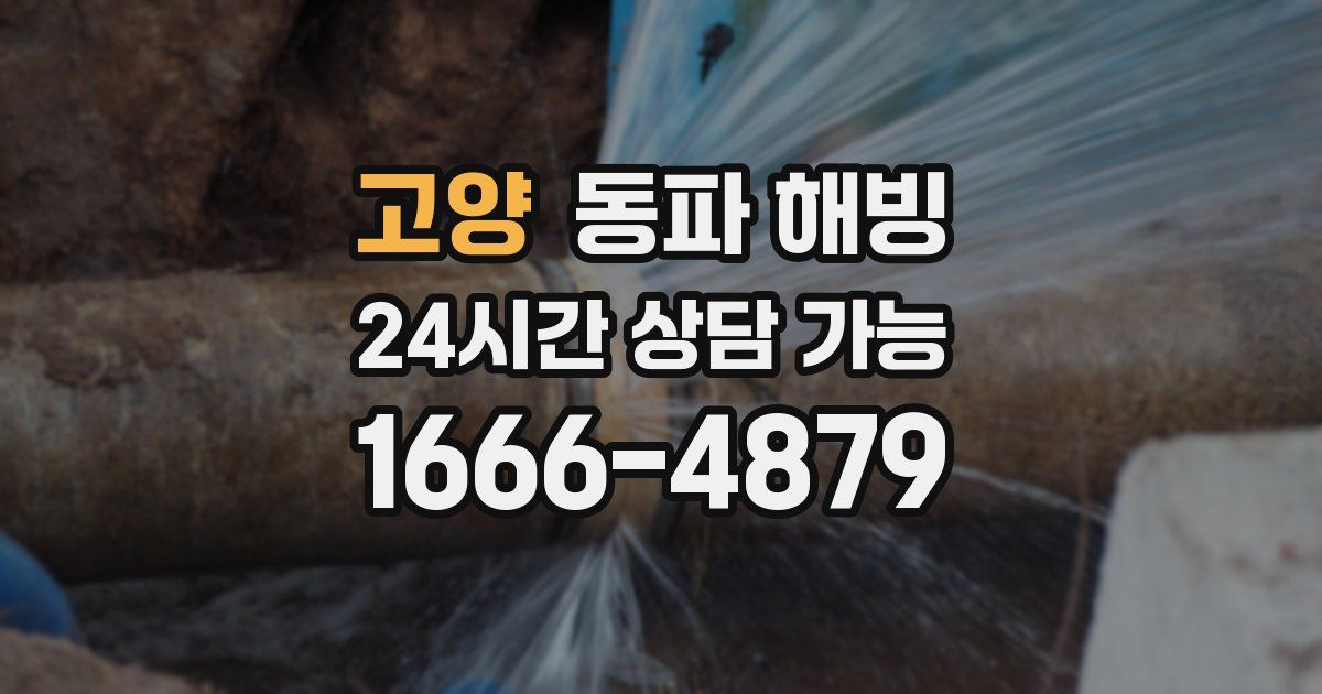 고양 동파 해빙