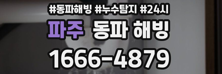 파주 동파