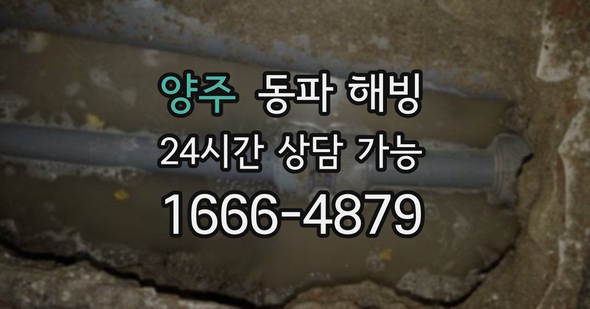 양주 동파 해빙