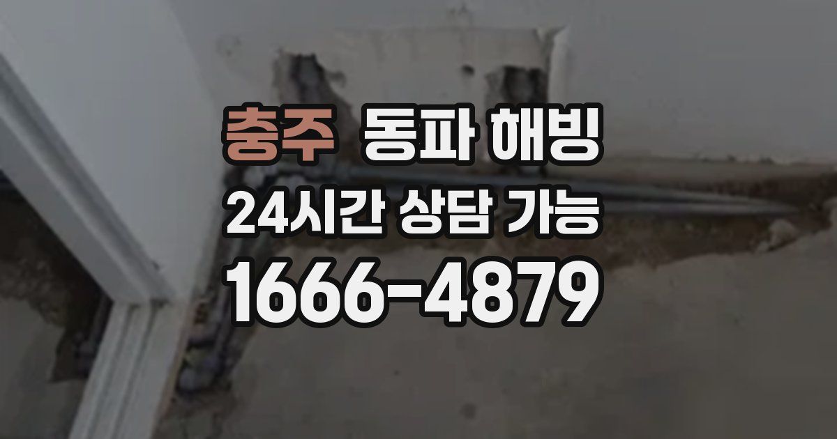 충주 동파 해빙