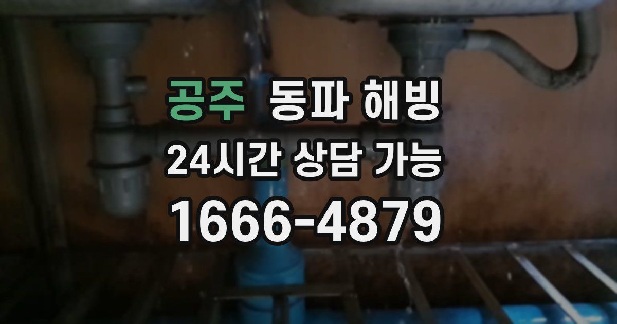 공주 동파 해빙