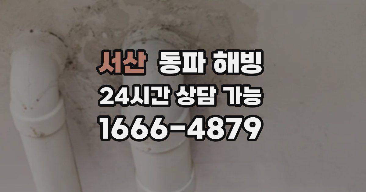 서산 동파 해빙