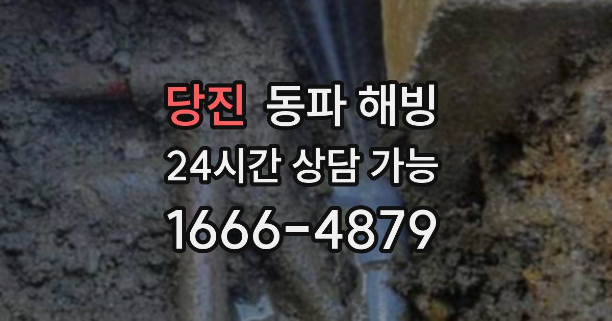 당진 동파 해빙