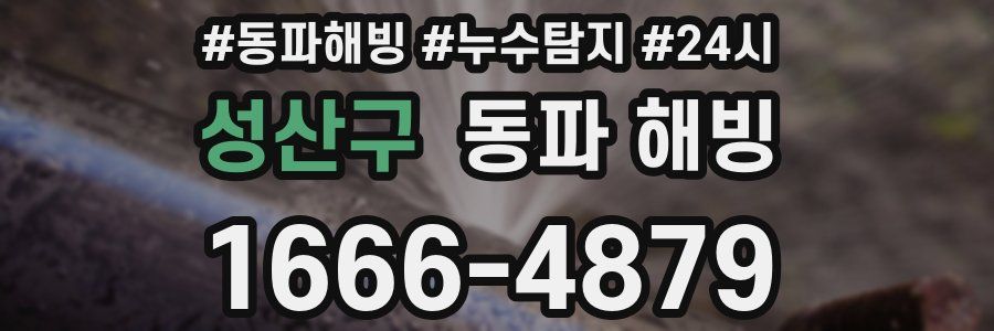 성산구 동파