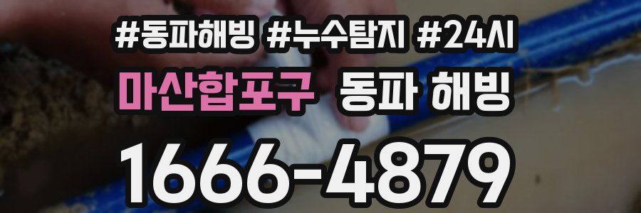 마산합포구 동파