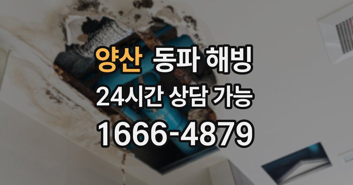 양산 동파 해빙