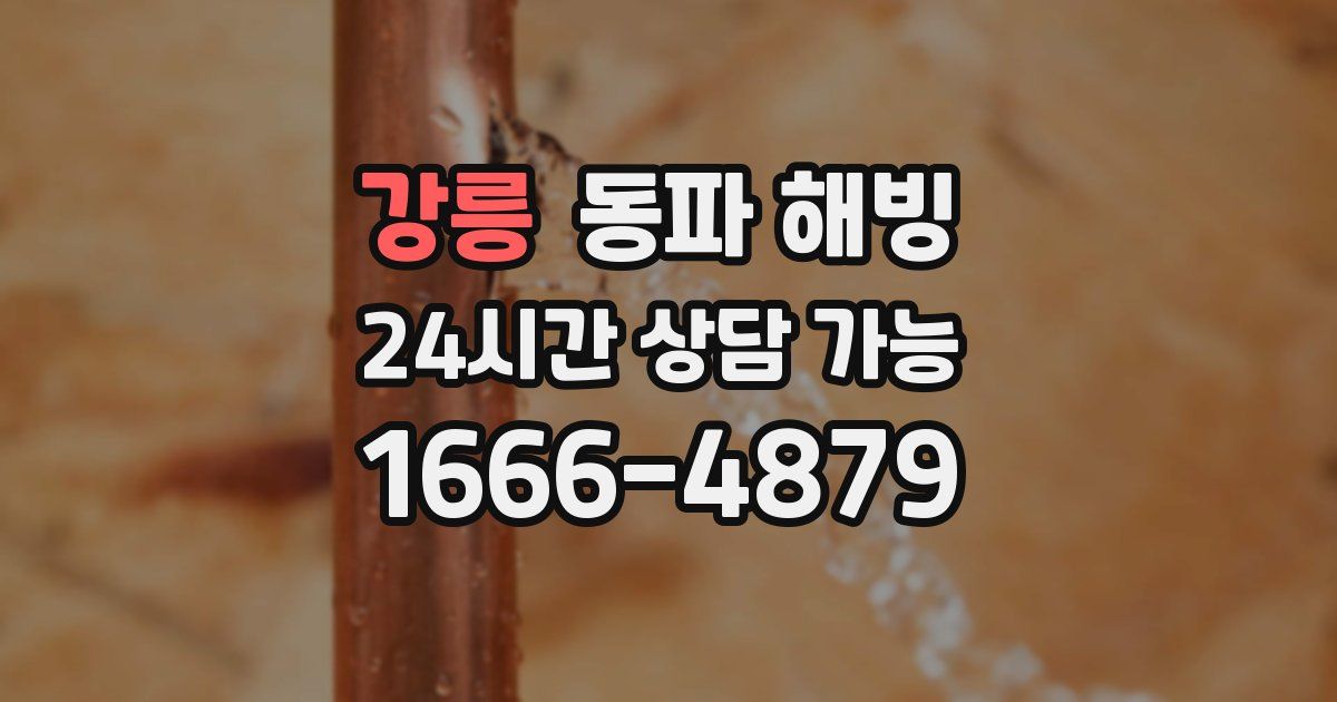 강릉 동파 해빙