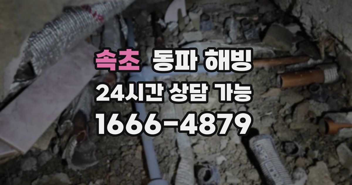 속초 동파 해빙