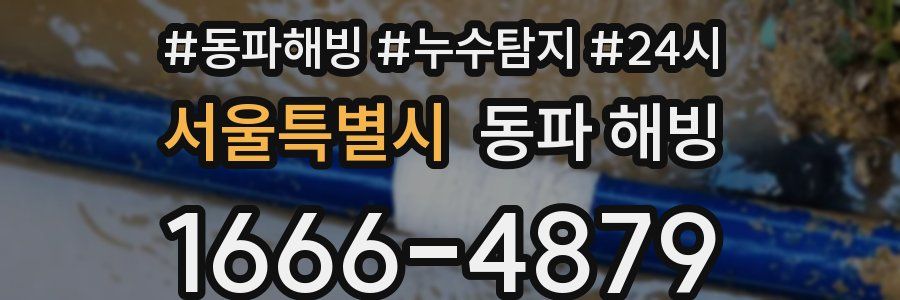 서울특별시 동파