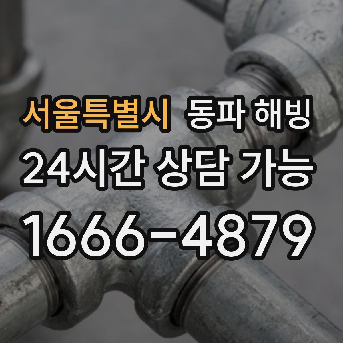 서울특별시 해빙