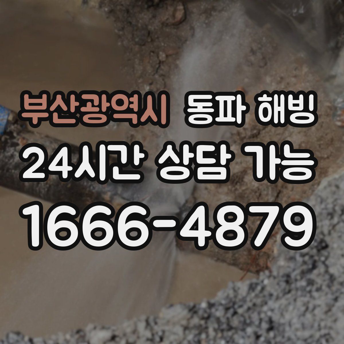 부산광역시 해빙