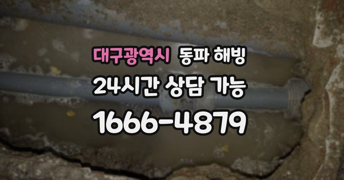 대구광역시 동파 해빙