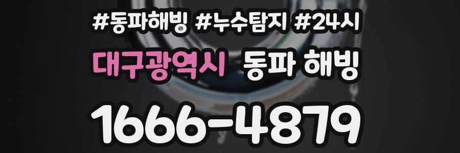 대구광역시 동파